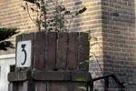 Detail ingang naar nr. 3.
<br/>
Gert-Jan Lobbes, 2016